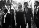 The Common_Linnets