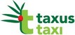 taxus taxi copy