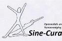 logo sinecura