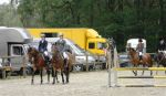 110529-inez-_Ponyconcours__09