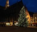 20111205Kerstboom